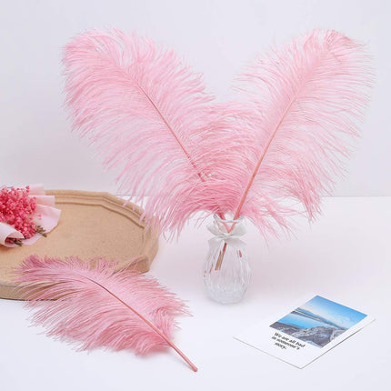Lotus Pink Ostrich Feathers - 24Pcs 12-14Inch Large Feathers Bulk for Vase,Party Centerpieces,Wedding and Home Decor