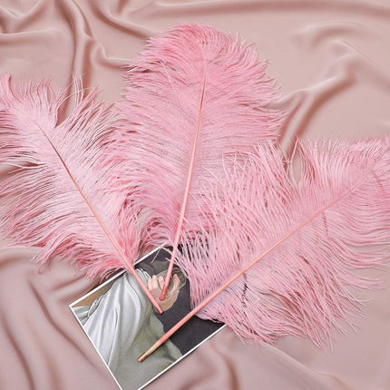 Lotus Pink Ostrich Feathers - 24Pcs 12-14Inch Large Feathers Bulk for Vase,Party Centerpieces,Wedding and Home Decor