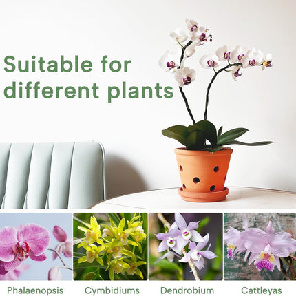 6 Inch Terracotta Orchid Pots with Holes, Saucers - 3 Pack Clay Orchid Planter Pots for Repotting, Small Terra Cotta Pot, Indoor & Outdoor, Promotes Air Circulation