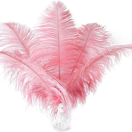 Lotus Pink Ostrich Feathers - 24Pcs 12-14Inch Large Feathers Bulk for Vase,Party Centerpieces,Wedding and Home Decor