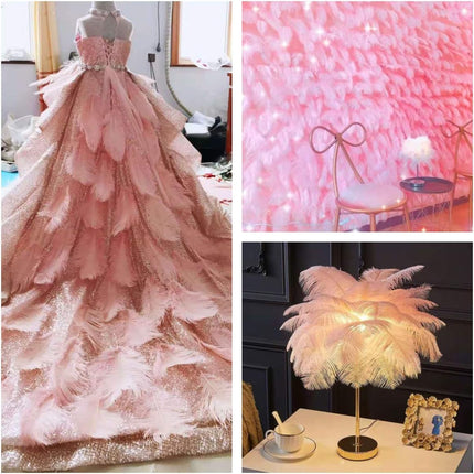 Lotus Pink Ostrich Feathers - 24Pcs 12-14Inch Large Feathers Bulk for Vase,Party Centerpieces,Wedding and Home Decor