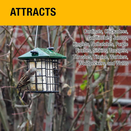 Orange Twist All Season No Mess Suet Cake Birders Pack, Food for Woodpeckers, Cardinals, Siskins, Sparrows, Finch'S & Many More Wild Birds & More - 10Oz, (Pack of 16)