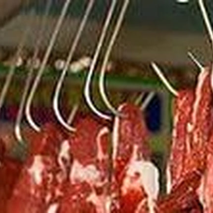 4Pc 9" Heavy Duty & Thick Stainless Steel Meat Processing Butcher Hook - Wild Game, Smoking Ribs BBQ Large Fish, Hunting, Carcass Deer Hanging S-Hook Excellent Quality 9Mm Thick