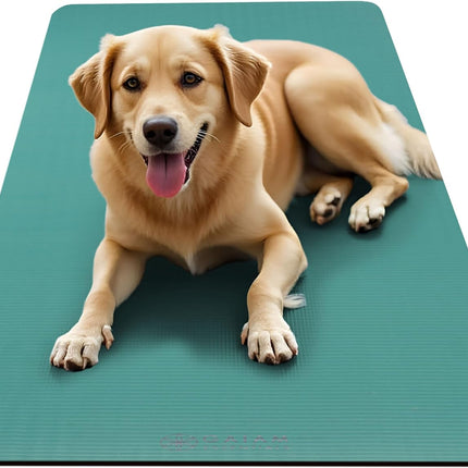 Gaiam Yoga Mat, Pilates & Exercise Mat, Thick Mat 2/5" (10Mm) Workout Mat with Easy-Cinch Carrying Strap for Home & Gym Workouts