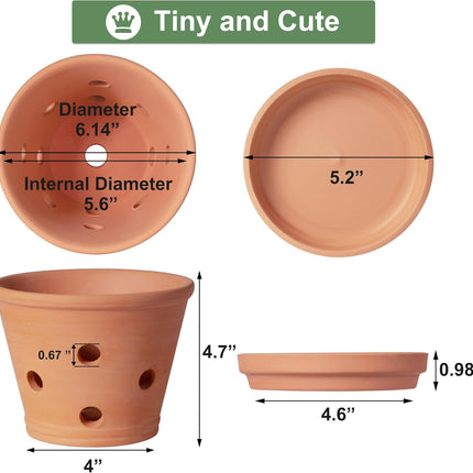6 Inch Terracotta Orchid Pots with Holes, Saucers - 3 Pack Clay Orchid Planter Pots for Repotting, Small Terra Cotta Pot, Indoor & Outdoor, Promotes Air Circulation