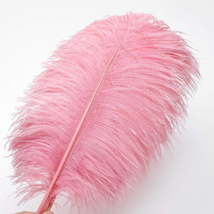 Lotus Pink Ostrich Feathers - 24Pcs 12-14Inch Large Feathers Bulk for Vase,Party Centerpieces,Wedding and Home Decor