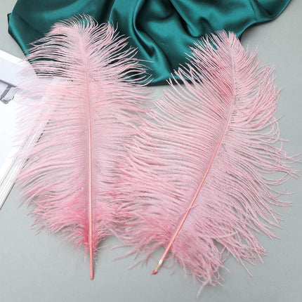 Lotus Pink Ostrich Feathers - 24Pcs 12-14Inch Large Feathers Bulk for Vase,Party Centerpieces,Wedding and Home Decor