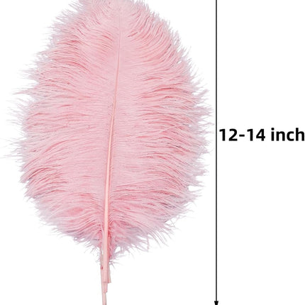 Lotus Pink Ostrich Feathers - 24Pcs 12-14Inch Large Feathers Bulk for Vase,Party Centerpieces,Wedding and Home Decor