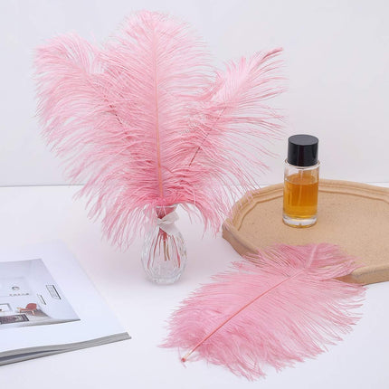 Lotus Pink Ostrich Feathers - 24Pcs 12-14Inch Large Feathers Bulk for Vase,Party Centerpieces,Wedding and Home Decor